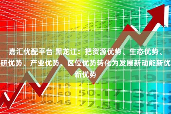 嘉汇优配平台 黑龙江:把资源优势、生态优势、科研优势、产业优势、区位优势转化为发展新动能新优势