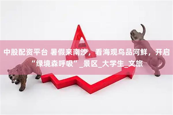 中股配资平台 暑假来南沙，看海观鸟品河鲜，开启“绿境森呼吸”_景区_大学生_文旅